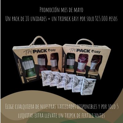 Promo inicio